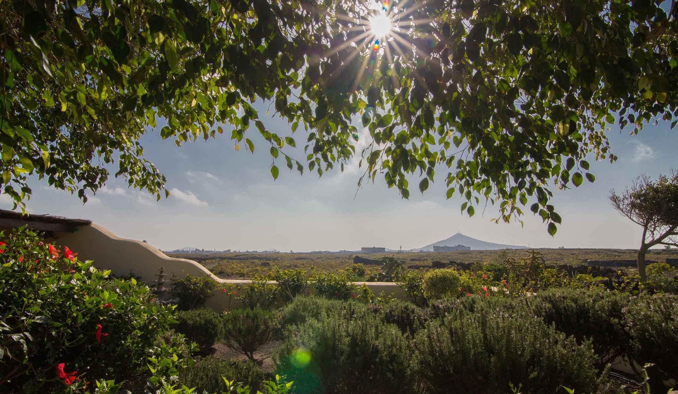 Tomaren Resort San Bartolomé